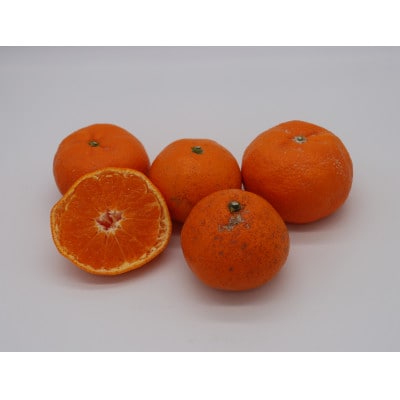 紀州グルメ市場の有田みかん 訳あり 家庭用 約10kg(2S～Lサイズ)