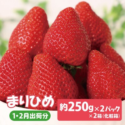 【先行受付】紀州グルメ市場のまりひめ 約250g×2パック×2箱 化粧箱(1・2月出荷分)