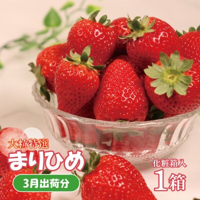 【先行受付】紀州グルメ市場の大粒特選まりひめ 1箱 化粧箱入(3月出荷分)