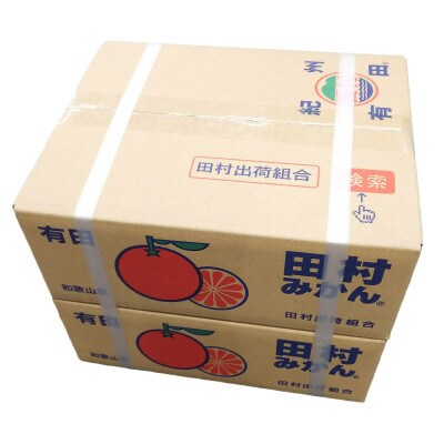 【2023年先行受付】紀州グルメ市場の田村みかん 約3kg×2箱セット(2S～Lサイズ)
