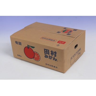 【先行受付】紀州グルメ市場の田村みかん 約5kg(Sサイズ)