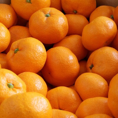 紀州グルメ市場の有田みかん 約5kg(Lサイズ)