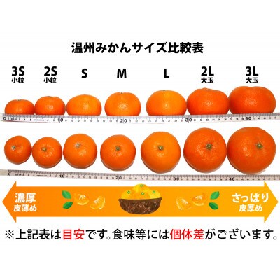 紀州グルメ市場の有田みかん 約5kg(Lサイズ)