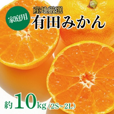 【先行受付】産地厳選 紀州グルメ市場の有田みかん 家庭用 約10kg(2S～2L・混合サイズ)