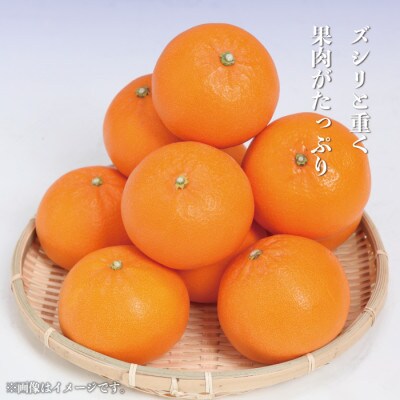 産地厳選 紀州グルメ市場のせとか 家庭用 約5kg(M～5L・混合サイズ)
