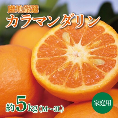 産地厳選 紀州グルメ市場のカラマンダリン 家庭用 約5kg(M～3L・混合サイズ)