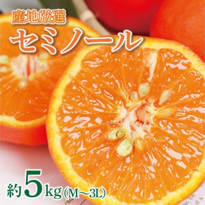 【先行受付】産地厳選 紀州グルメ市場のセミノール 約5kg(M～3L・混合サイズ)