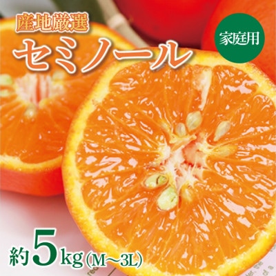 【先行受付】産地厳選 紀州グルメ市場のセミノール 家庭用 約5kg(M～3L・混合サイズ)