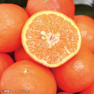 【先行受付】産地厳選 紀州グルメ市場のセミノール 家庭用 約5kg(M～3L・混合サイズ)