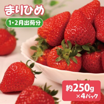 紀州グルメ市場のまりひめ 約250g×4パック(1・2月出荷分)