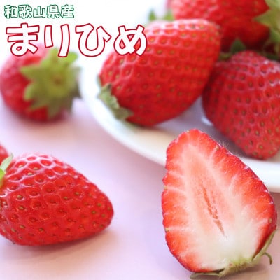 【先行受付】紀州グルメ市場のまりひめ 約250g×2パック(4月出荷分)