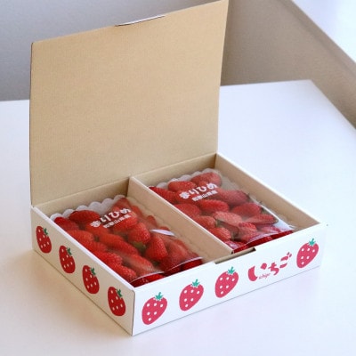 【先行受付】紀州グルメ市場のまりひめ 約250g×2パック(4月出荷分)