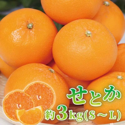 紀州グルメ市場のせとか 約3kg(S～L・混合サイズ)
