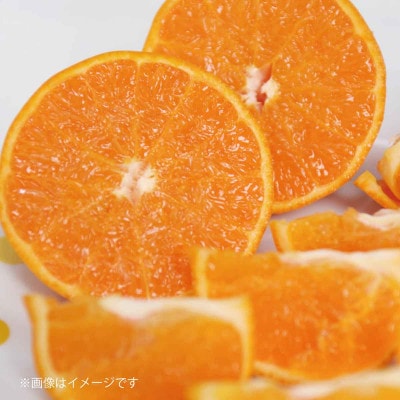 紀州グルメ市場のせとか 約5kg(S～L・混合サイズ)