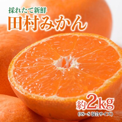 【先行受付】紀州グルメ市場の田村みかん 約2kg(3S～S・混合サイズ)