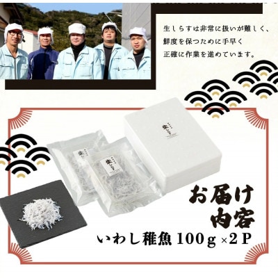 厳選 生しらす (100g×2P)小分けパック