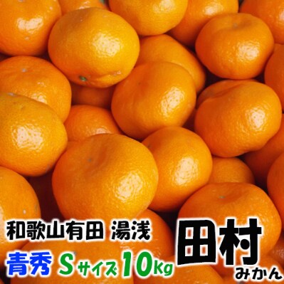 「高級 田村みかん」 青秀 約10kg Sサイズ　/みかん10kg/和歌山特産/