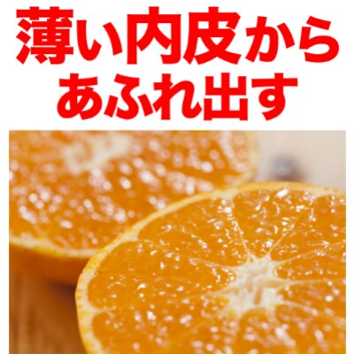「高級 田村みかん」 青秀 約10kg Sサイズ　/みかん10kg/和歌山特産/