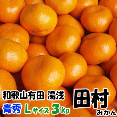 「高級 田村みかん」 青秀 約3kg Lサイズ　/みかん3kg/和歌山特産/