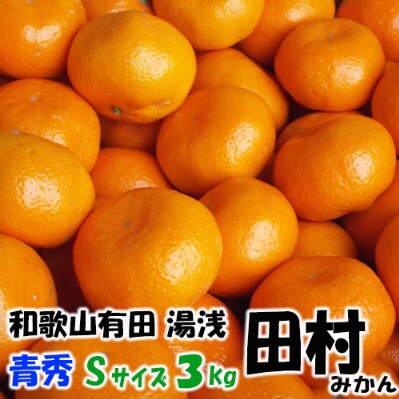 「高級 田村みかん」 青秀 約3kg Sサイズ　/みかん3kg/和歌山特産/