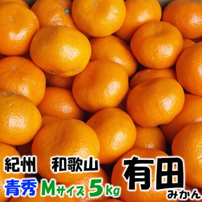 有田みかん 青秀 約5kg Mサイズ  /みかん5kg/和歌山特産/