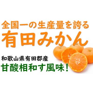 有田みかん 青秀 約5kg Mサイズ  /みかん5kg/和歌山特産/