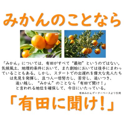 有田みかん 青秀 約5kg Mサイズ  /みかん5kg/和歌山特産/