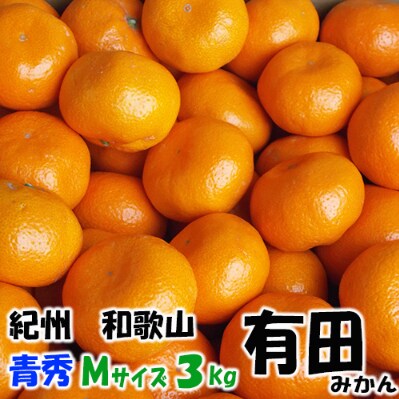 有田みかん 青秀 約3kg Mサイズ　/みかん3kg/和歌山特産/