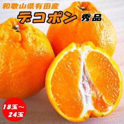 デコポン 秀品 18玉～24玉 和歌山県有田産【先行受付】
