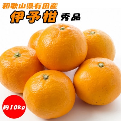 伊予柑 秀品 約10kg 和歌山県有田産【先行受付】