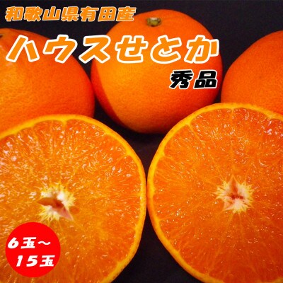 ハウスせとか 秀品 6～15玉 和歌山県有田産【先行受付】