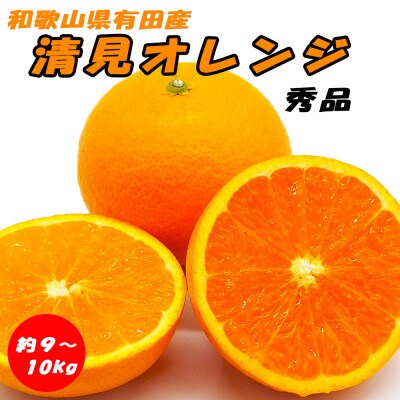 清見オレンジ 秀品 約9～10kg 和歌山県有田産【先行受付】