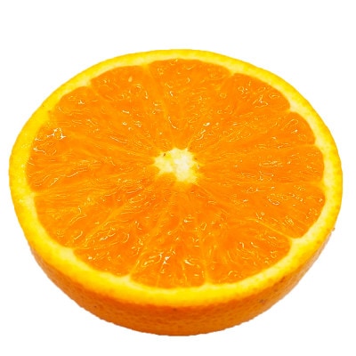 清見オレンジ 秀品 約9～10kg 和歌山県有田産【先行受付】