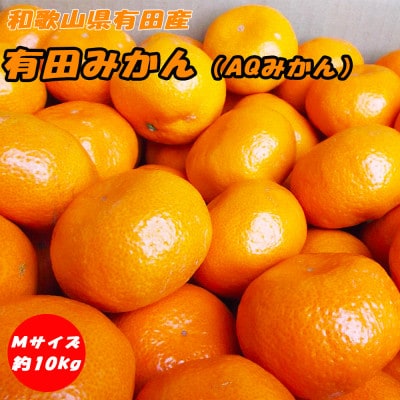有田みかん(AQみかん)約10kg Mサイズ 和歌山県有田産【先行受付】