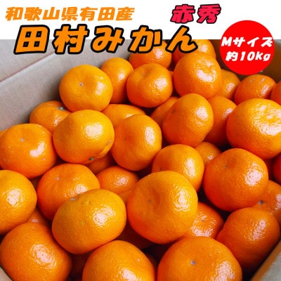 田村みかん 赤秀 約10kg Mサイズ 和歌山県有田産【先行受付】
