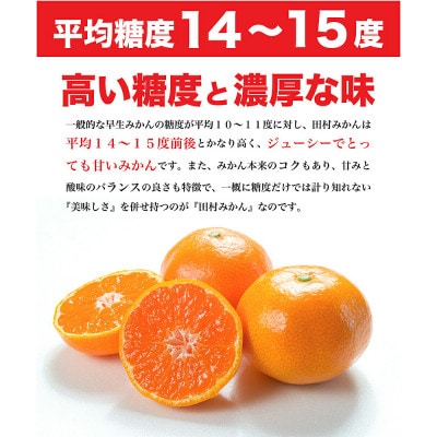 田村みかん 赤秀 約10kg Mサイズ 和歌山県有田産【先行受付】