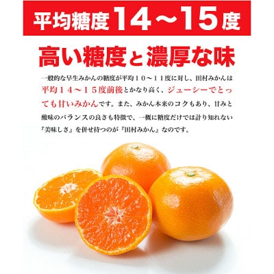 「高級 田村みかん」 青秀 約3kg Lサイズ 和歌山県有田産【先行受付】