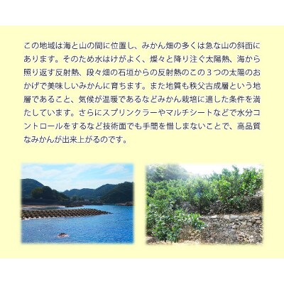 「高級 田村みかん」 青秀 約3kg Lサイズ 和歌山県有田産【先行受付】