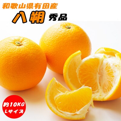 八朔 秀品 約10kg Lサイズ 和歌山県有田産【先行受付】