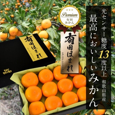 高糖度13度以上 有田ほまれ 秀品 Мサイズ 12玉