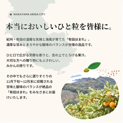 高糖度13度以上 有田ほまれ 秀品 Мサイズ 12玉