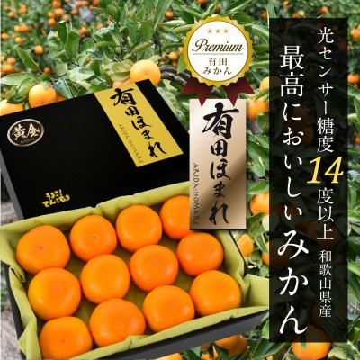 高糖度14度以上 有田ほまれ 黄金(こがね)  秀品Мサイズ 12玉