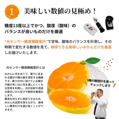 高糖度14度以上 有田ほまれ 黄金(こがね)  秀品Мサイズ 12玉