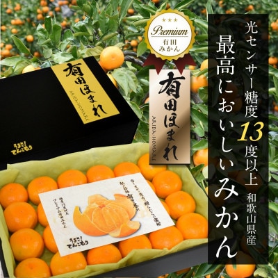 高糖度13度以上 有田ほまれ Мサイズ 秀品 24玉