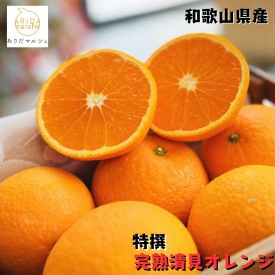 【2026年2月下旬～発送】特撰 清見オレンジ 3kg