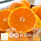 《先行受付・2025年11月～発送》農家直送 完熟有田みかん　5kg　サイズ混合