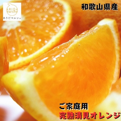 《先行受付・2026年2月～発送》有田育ちのご家庭用清見オレンジ 10kg