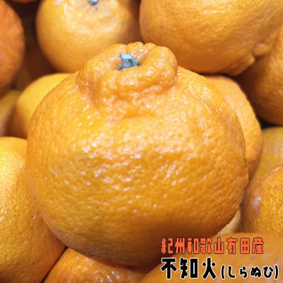 ≪先行受付・2026年1月下旬～発送≫有田育ちの濃厚不知火(ご家庭用) 2.5kg