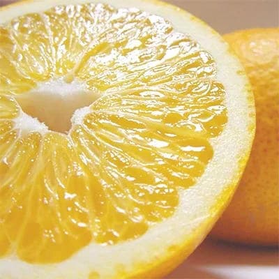 【2026年2月～発送】【冬の味覚】有田育ちの濃厚八朔(ご家庭用)　3kg