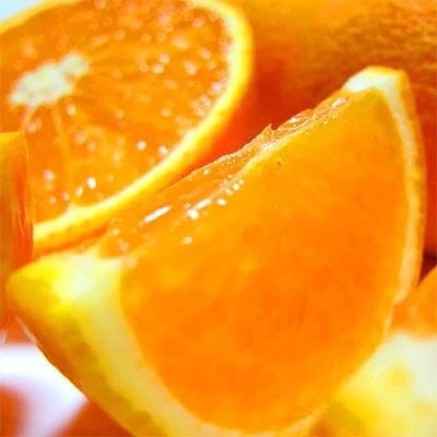 【2025年2月下旬～発送】有田育ちの清見オレンジ(ご家庭用)　約3kg